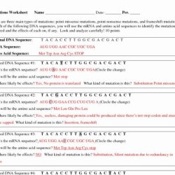 Excelguider key exploration quizlet building