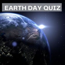 Earth quiz google logo result animal