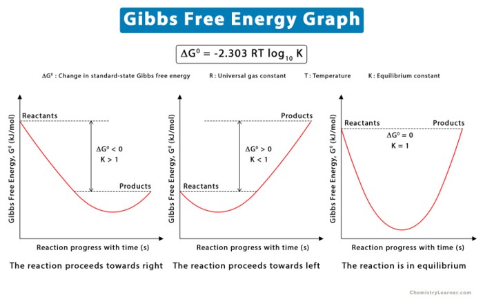 Work equilibrium and free energy pogil