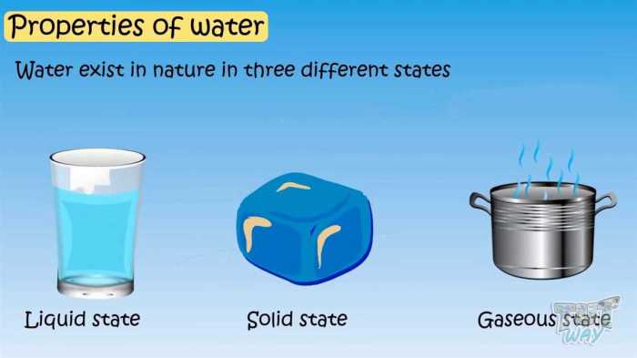 Properties of water webquest answer