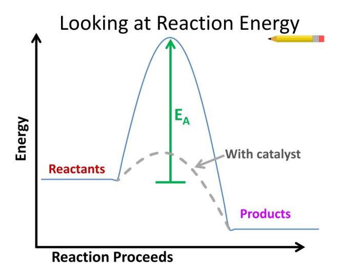 Energy ws #1 reaction rates