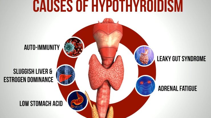 If i have hypothyroidism can i take ozempic