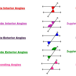 Parallel lines worksheet transversal transversals geometry practice math extra teaching school teacher middle proofs visit high problems work resources chessmuseum