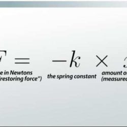 Law hooke work integral calculus